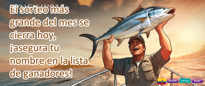 Recarga Diaria de Suerte promotion